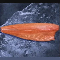 Salmon chilled salmon fillet