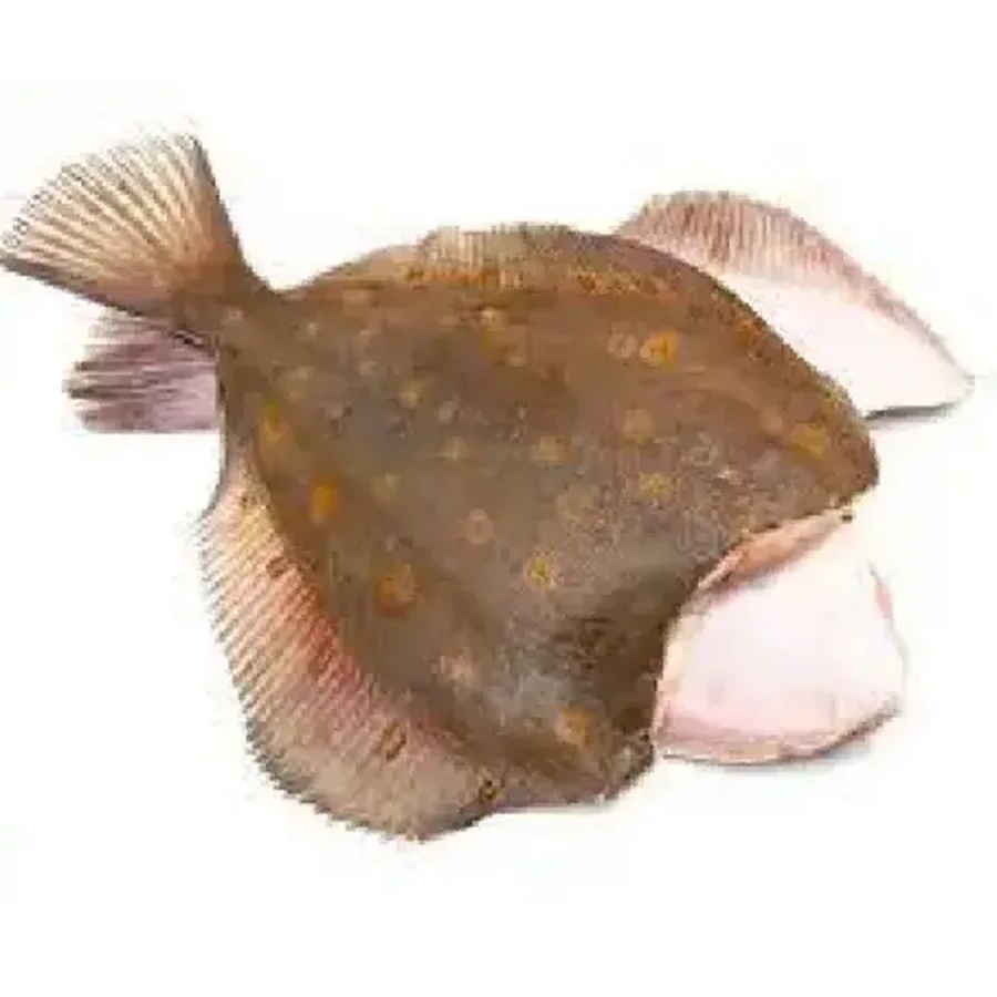 Flounder headless 17cm+