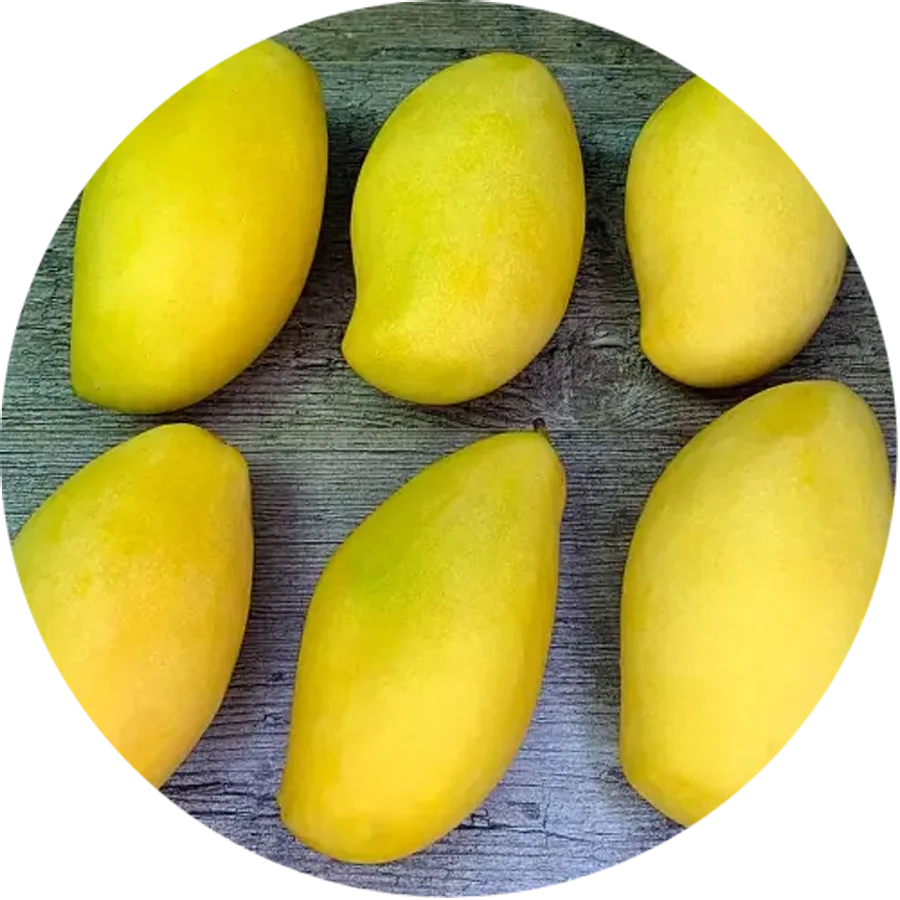 Mango KEO