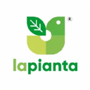 La pianta