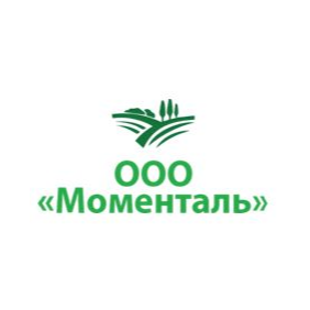 Моменталь