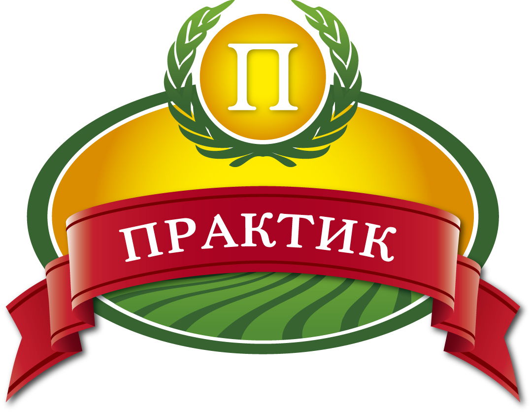 Практик