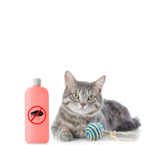 Cat health and care products