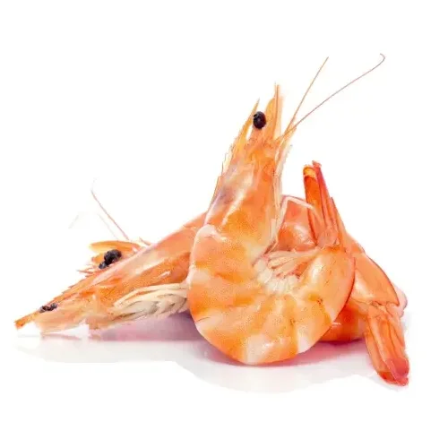 Shrimp 80/100⠀