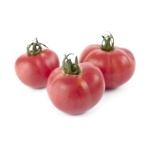 Tomatoes Tanya