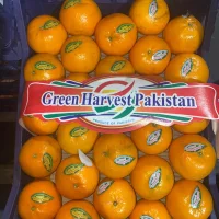 Пакистанские мандарины