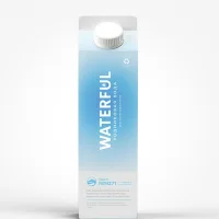WATERFUL Natural drinking spring water, 1 l