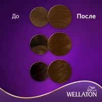 Wellaton Intensive Cream-Paint 5/4 Chestnut