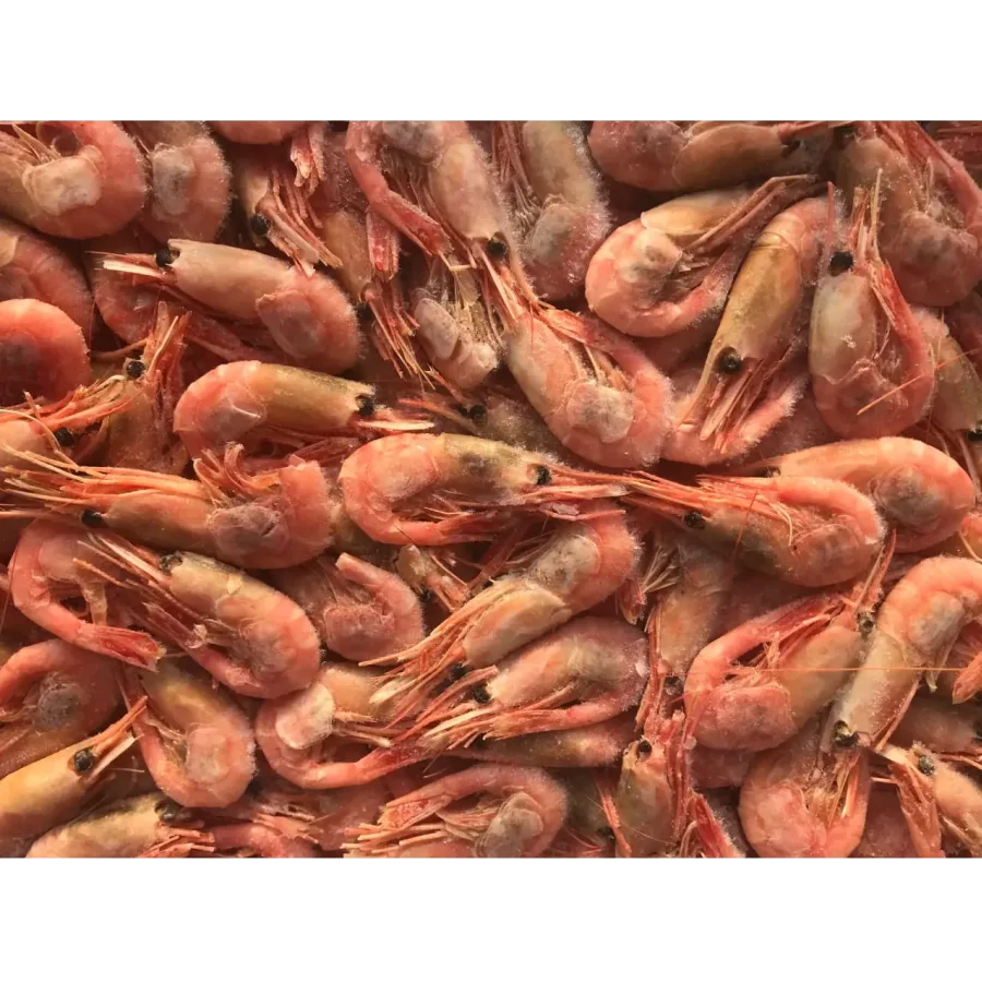 Northern shrimps 90/120
