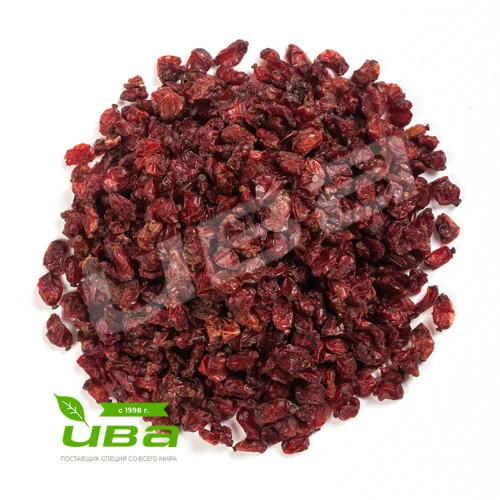 Barberry fruits red wholesale
