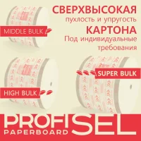 Laminated cardboard ProfiSel Paperboard, bleached, professional, 250 / 260 g/m2 (GSM)