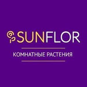 Sunflor