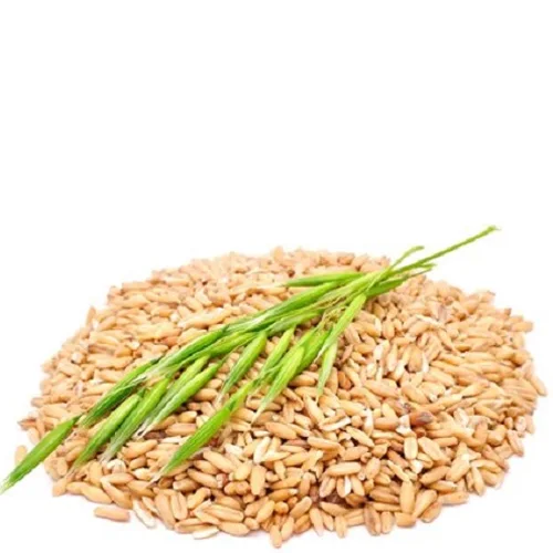 Fodder oats, 25 kg