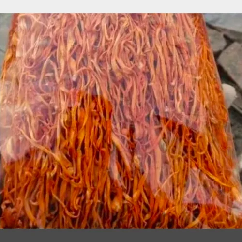 Dried Cordyceps wholesale