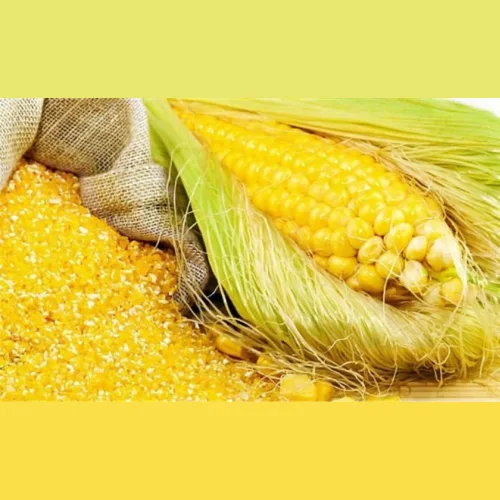 Crushed fodder corn, 25 kg