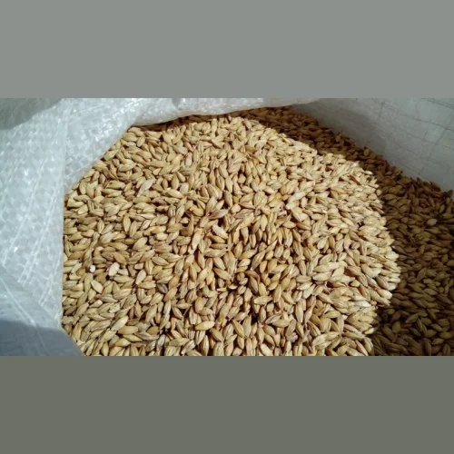 Пшеница (зерна) 