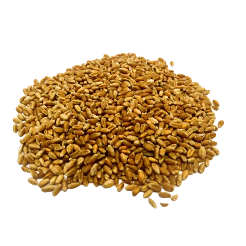 Wheat fuzzy