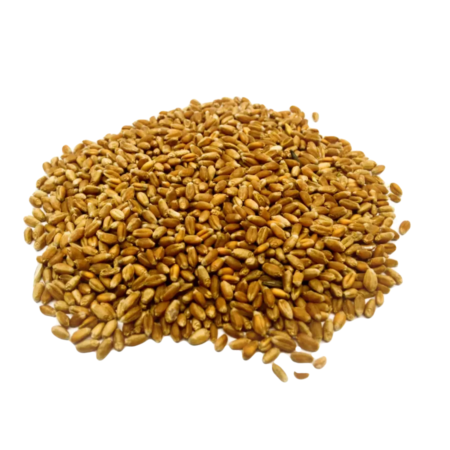 Wheat fuzzy