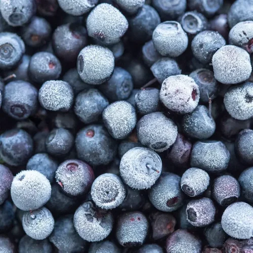 Blueberry freshly frozen