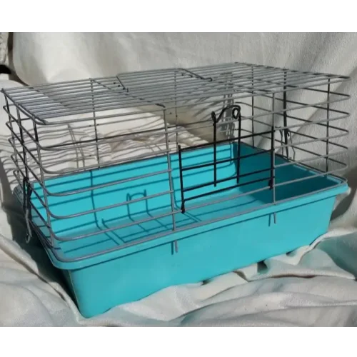 Cage for guinea pig