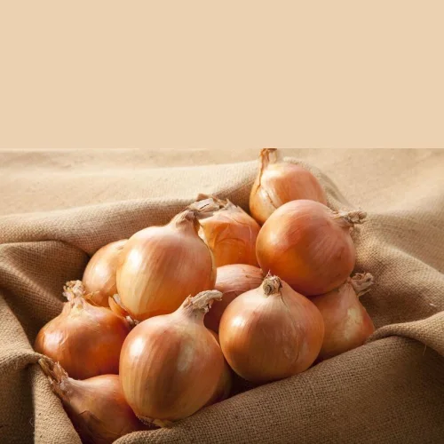 Onion repch