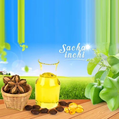 Sachi oil