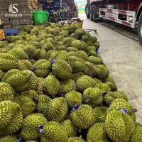 Fresh Durian from Vietnam