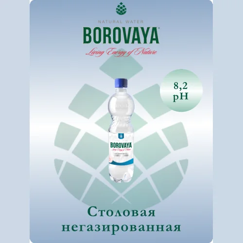 Natural drinking water Borovaya (Borovaya) non-carbonated 0.5l, PET