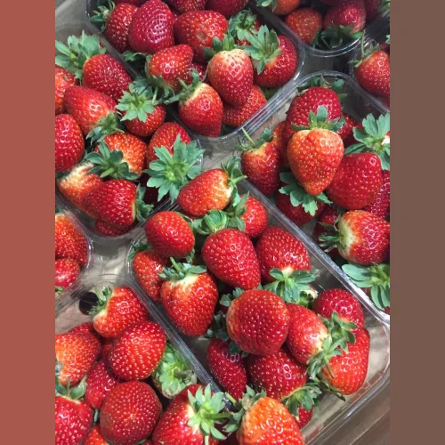 Strawberry Kuban