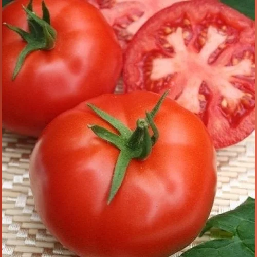Tomatoes Sovhoz.