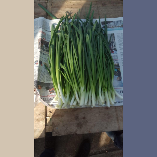 Green onions Weight
