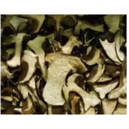 White mushroom dried