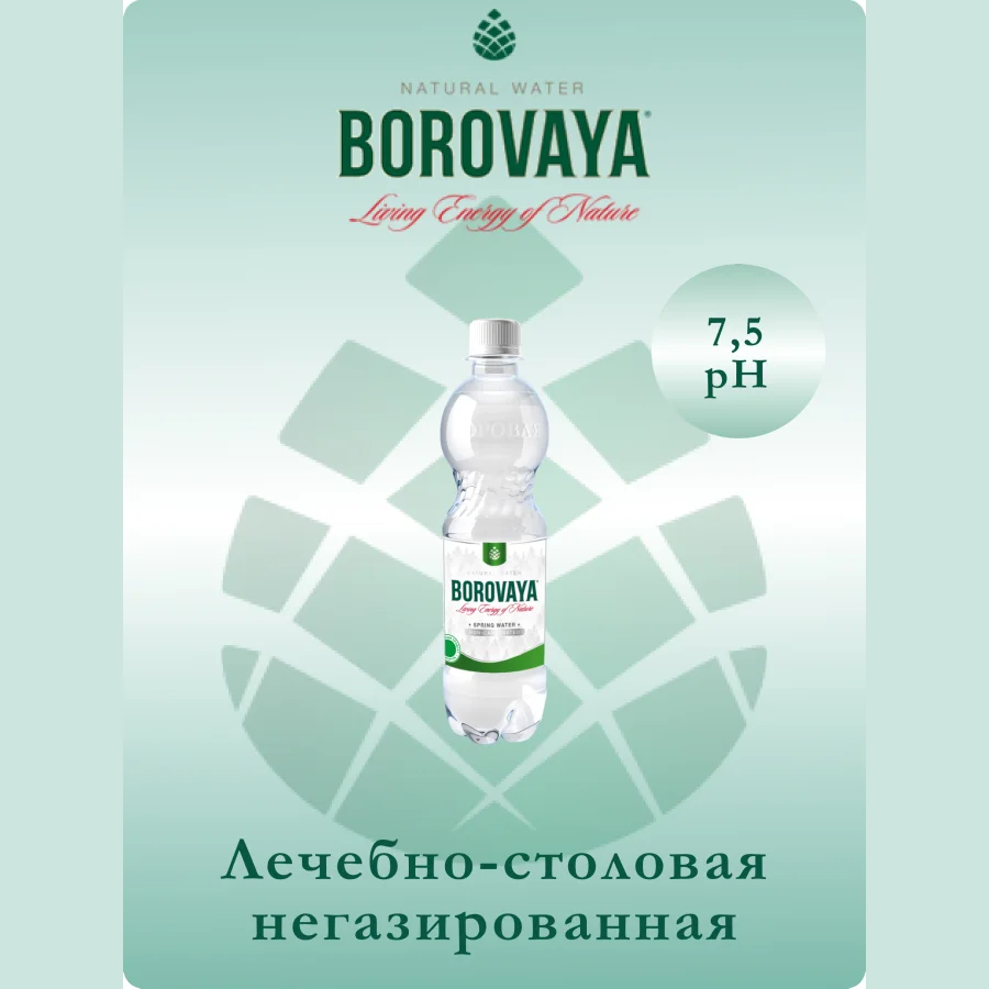 Вода минеральная БОРОВАЯ (Borovaya) лечебно-столовая питьевая сульфатно-кальциевая негазированная 0.5л, ПЭТ