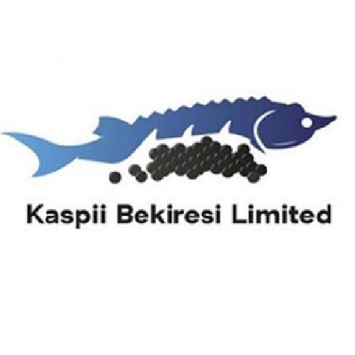 Kaspy Bekiresy Limited