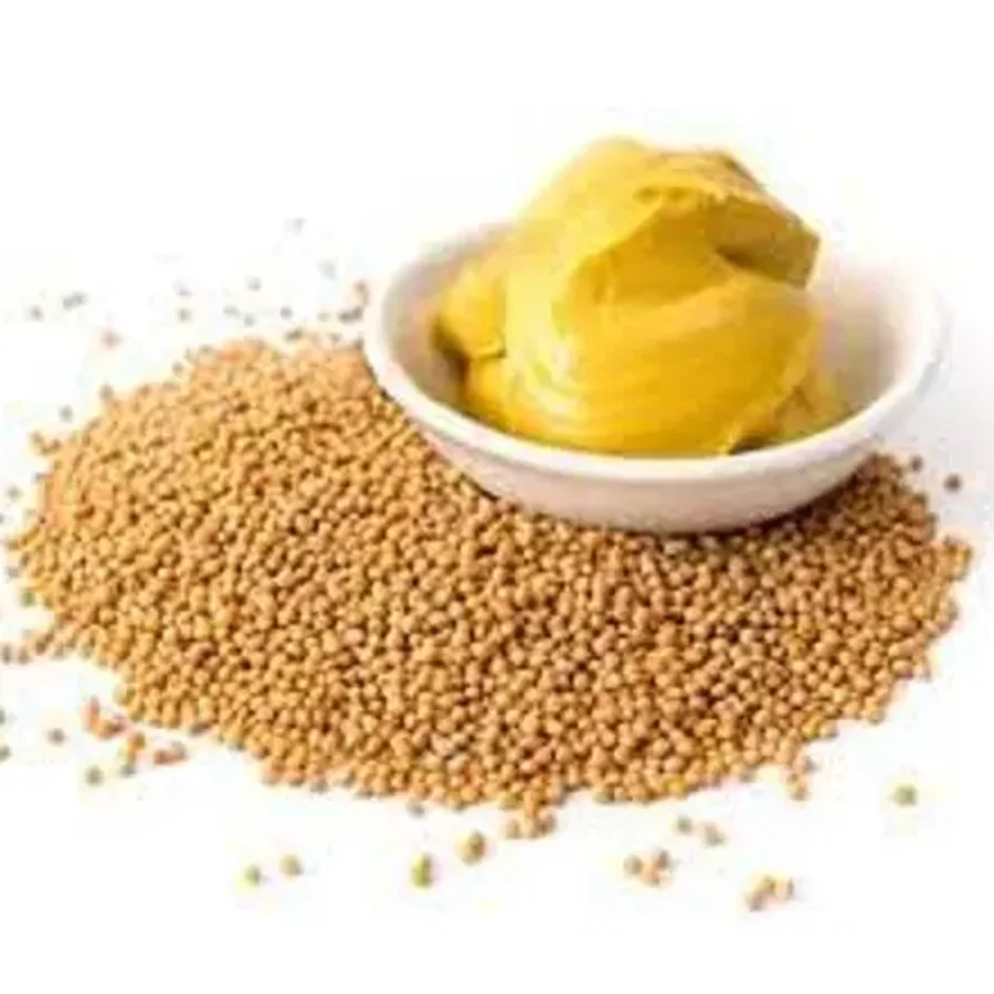 Mustard Semen.