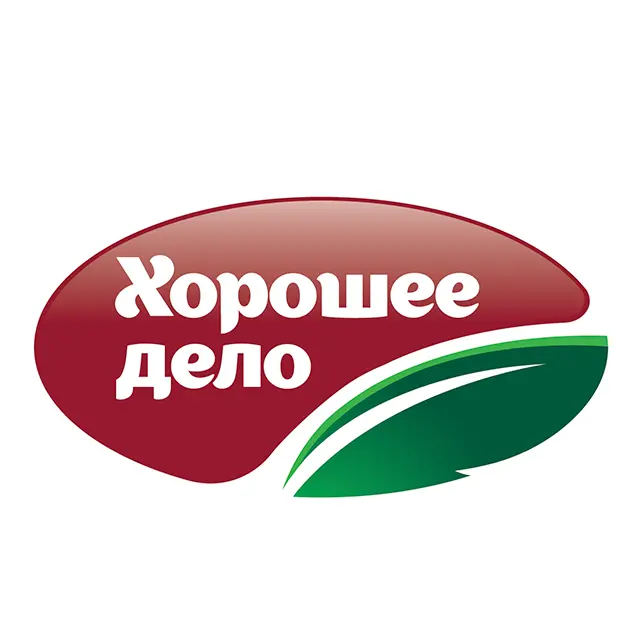 Хорошее дело. Мордовия