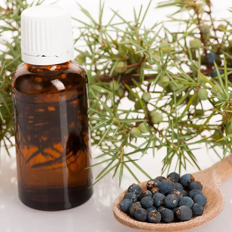 Premium massage oil with juniper essential oil