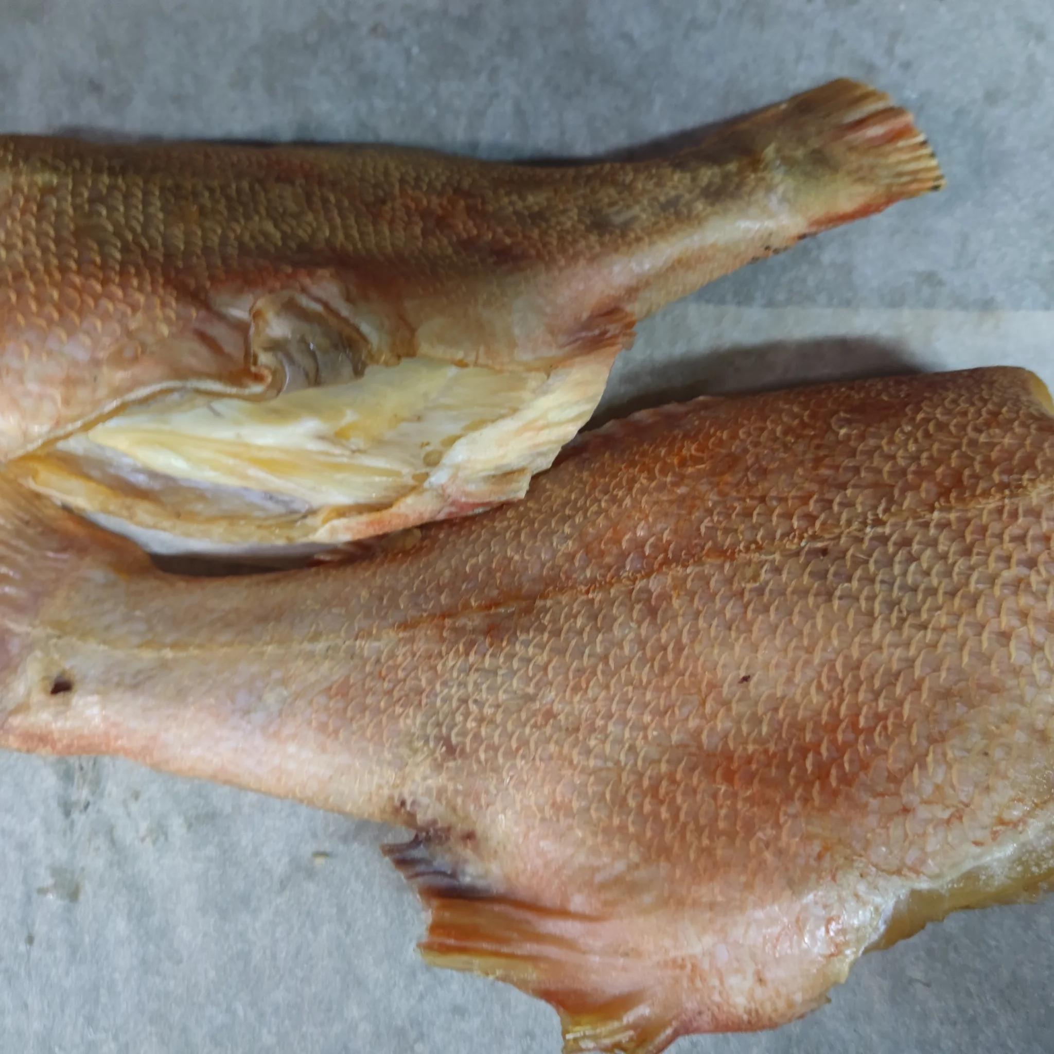 Perch sea carcass gutted without cold smoking head