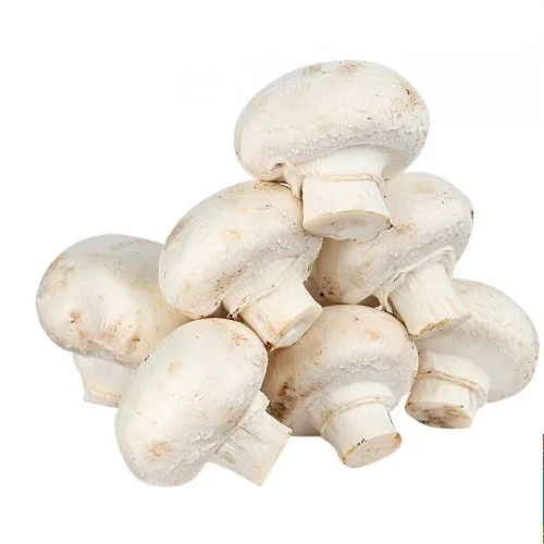 Mushrooms and champignons 