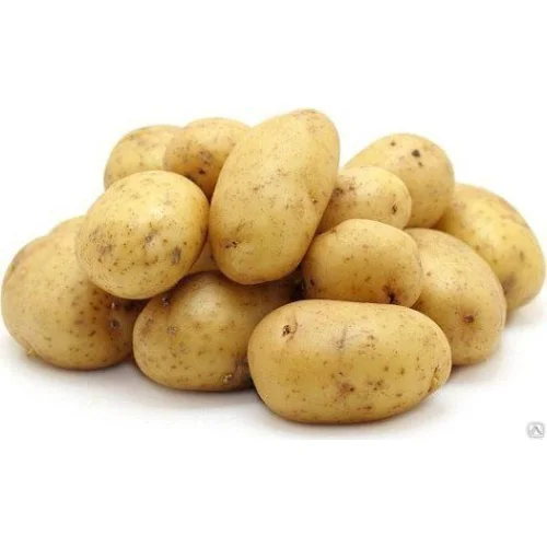 Potato Food Gala
