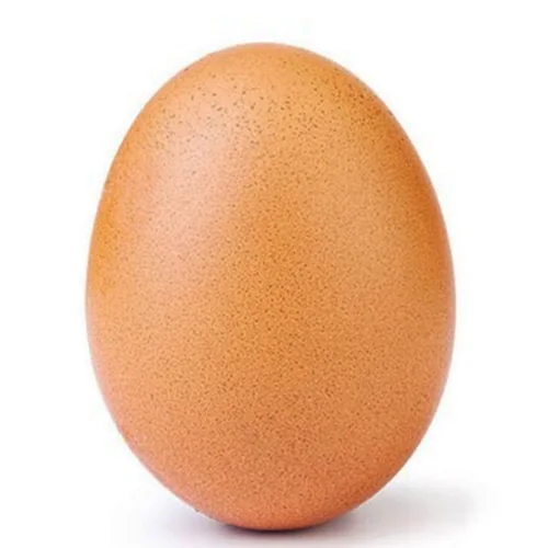 Egg chicken sun Vladimirovskoye