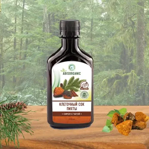 Cell juice fir syrup with chaga