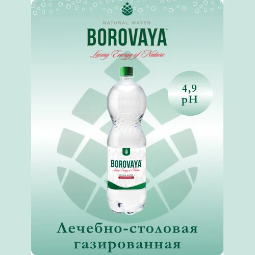 Вода минеральная БОРОВАЯ (Borovaya) лечебно-столовая питьевая сульфатно-кальциевая газированная 1.5л, ПЭТ