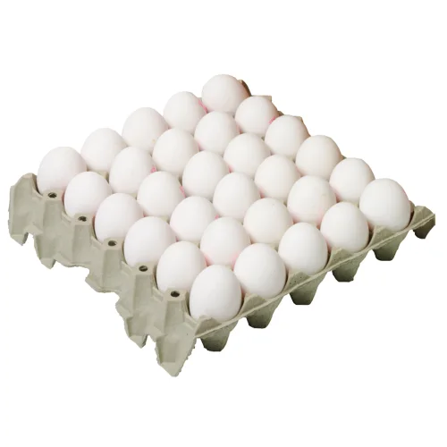 Selected chicken egg 