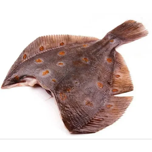 Flotfish flashes