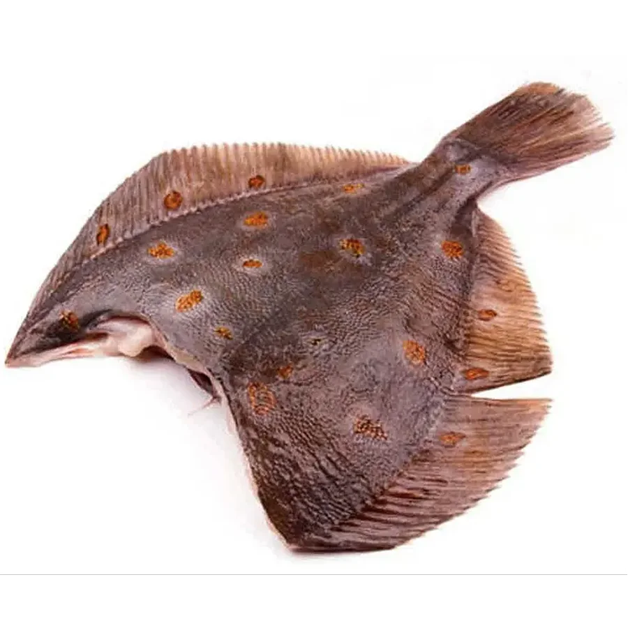 Flotfish flashes