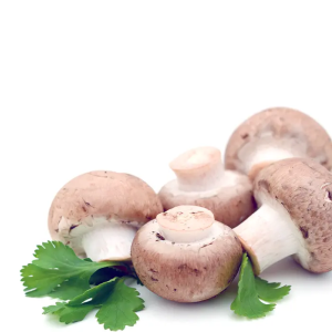 Fresh mushrooms, dried