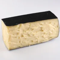 Middle degree cheese "Parmesan Young"