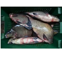Bream large cooled