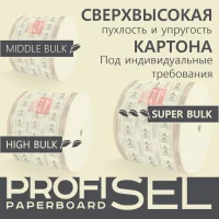 Laminated cardboard ProfiSel Paperboard, bleached, professional, 170 g/m2 (GSM)